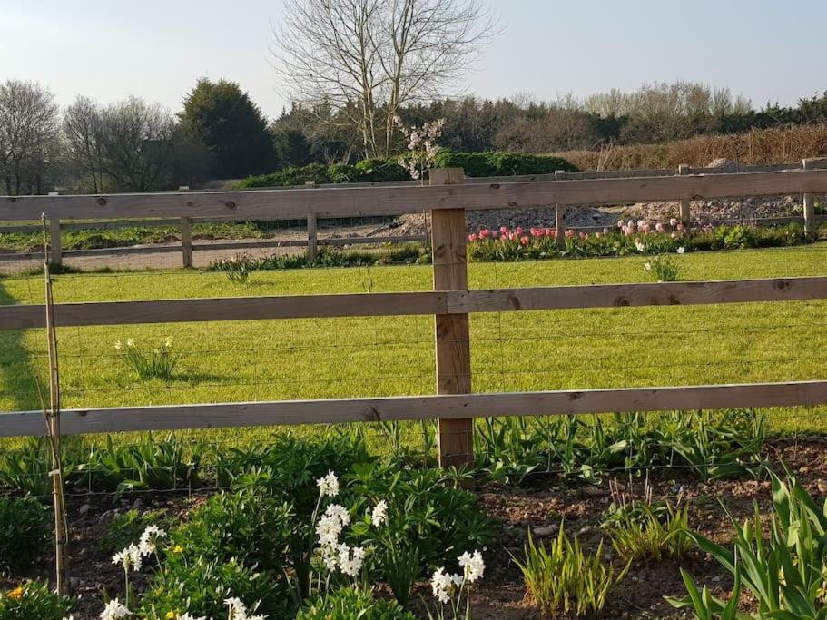 Sweet Meadow Apartment Exeter